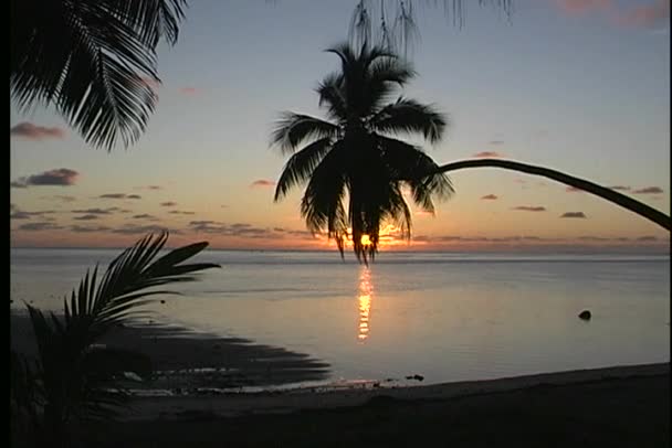 Rarotonga, один з островів Кука — стокове відео