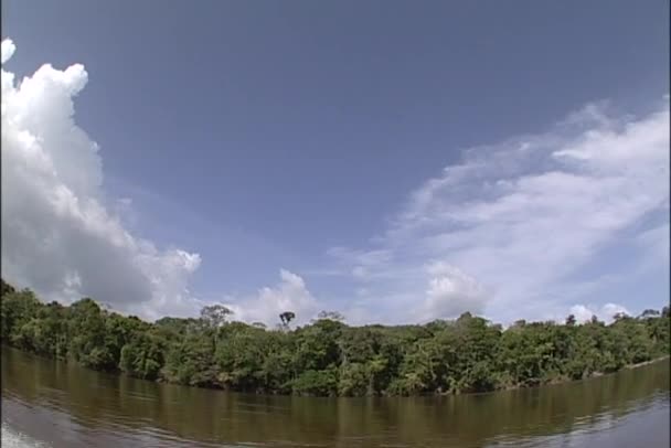 Río Amazonas y selva tropical — Vídeos de Stock