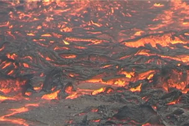 Crust forms on flowing lava — Stock Video