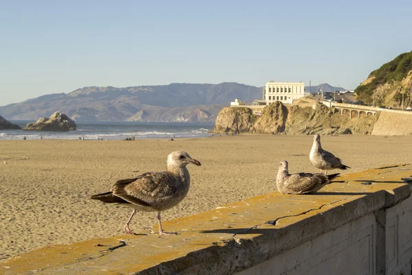 Ocean Beach, San Francisco, California