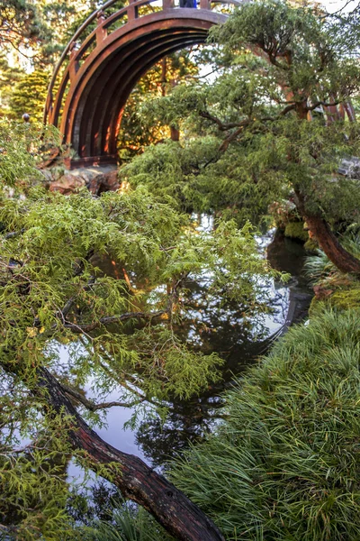 Japon çay bahçesi kemerli davul Bridge'de