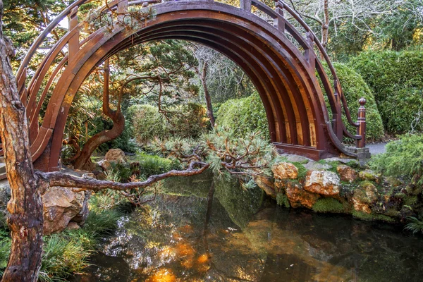 Kemerli davul köprü Japon çay bahçesi — Stok fotoğraf