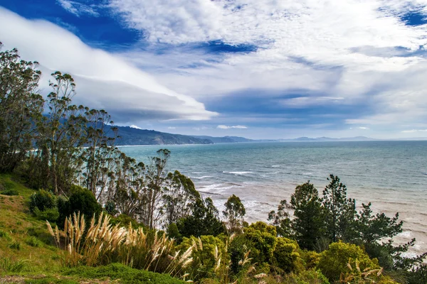 Pacific Coast Kuzey Kaliforniya görünümünde