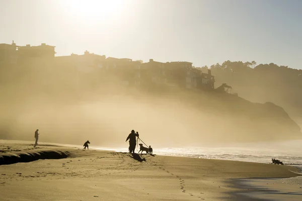 Baker Beach i solljus — Stockfoto