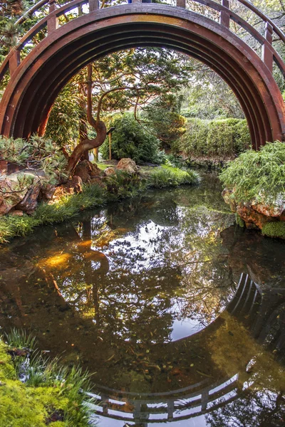 Japon çay bahçesi kemerli davul Bridge'de — Stok fotoğraf