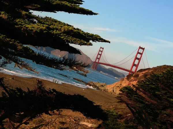 Goldene torbrücke in san francisco Stockbild