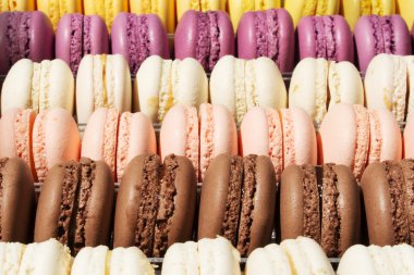 Fransız çerezleri macaroons kümesi