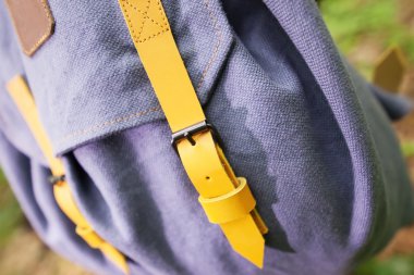 ağaç üzerinde sırt çantası