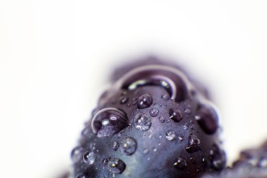 Üzüm izole makro resim