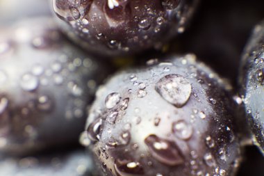 Üzüm izole makro resim