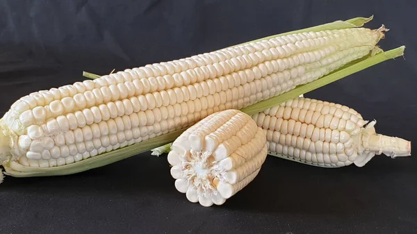 Świeże Uszy Kukurydzy Liśćmi Farmie Organiczne Żółte Pole Kukurydzy — Zdjęcie stockowe