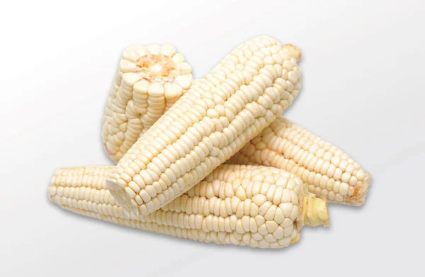Friss Fehér Kukorica Gyümölcs Izolált Fehér Alapon — Stock Fotó