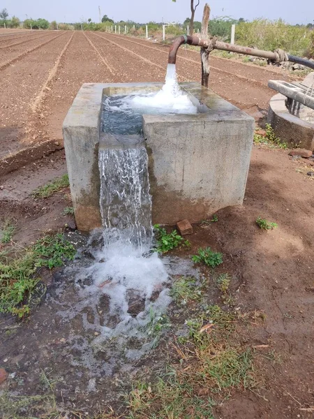 Lifted Water From Ground Through water Pump For Irrigation