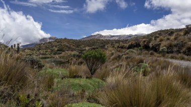 Lagoon Kolombiya 'daki Los Nevados Ulusal Doğal Parkı' nda yer alıyor. Nevado del Ruiz. Kayalardan ve buzdan oluşan bir arka planı var..