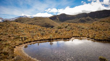 Lagoon Kolombiya 'daki Los Nevados Ulusal Doğal Parkı' nda yer alıyor. Nevado del Ruiz. Kayalardan ve buzdan oluşan bir arka planı var..