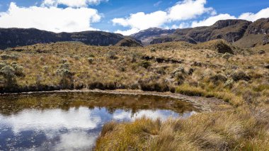 Lagoon Kolombiya 'daki Los Nevados Ulusal Doğal Parkı' nda yer alıyor. Nevado del Ruiz. Kayalardan ve buzdan oluşan bir arka planı var.
