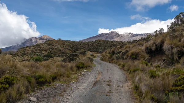 Landscape in Los Nevados National Natural Park in Colombia. Nevado de Santa Isabel and Nevado del Ruiz.