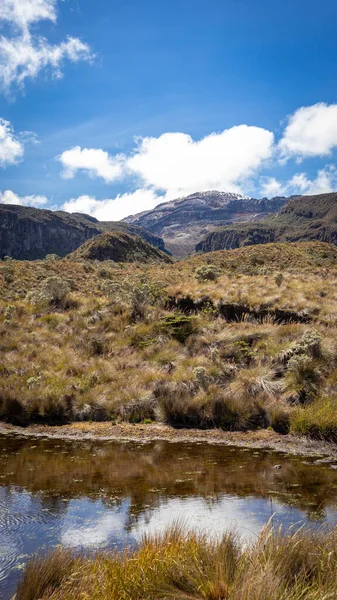 Λιμνοθάλασσα Βρίσκεται Στο Los Nevados Εθνικό Φυσικό Πάρκο Στην Κολομβία — Φωτογραφία Αρχείου