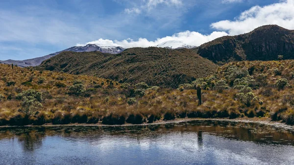 Lagoa Localizada Parque Nacional Dos Nevados Colômbia Nevado Del Ruiz — Fotografia de Stock