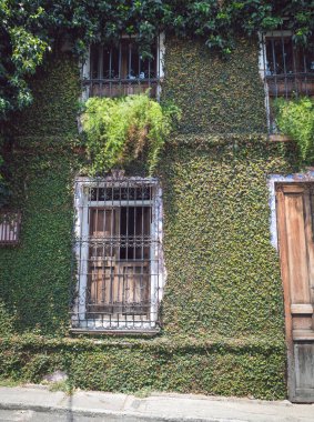 San Antonio Cali Valle del Cauca 'da duvarları bitki ve kırsal kapılarla kaplı bir ev..