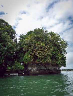 Juanchaco, Buenaventura, Valle del Cauca, Kolombiya 'daki bir sahil ve uçurum görüntüsü. Ulusal doğal park Uramba.