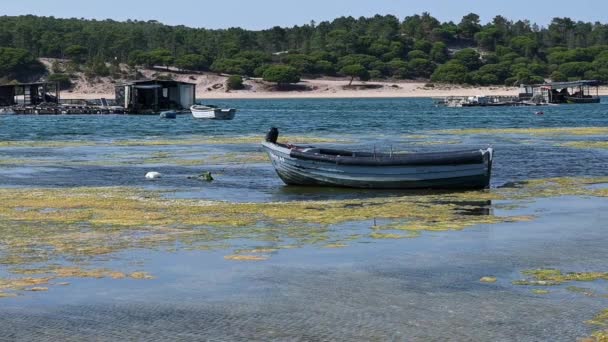 Вид Пляж Лагоа Альбуфейра Сесімбрі Португалія — стокове відео