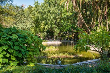  Lizbon şehir merkezi manzaralı Estrela bahçesi