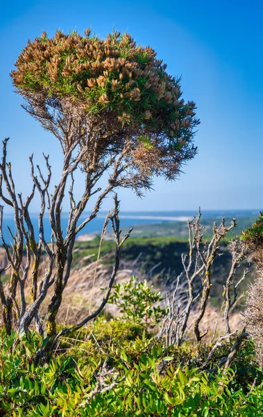 View Cabo Espichel Sesimbra Portugal — Fotografia de Stock