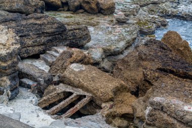 Balık barınak ıstakoz