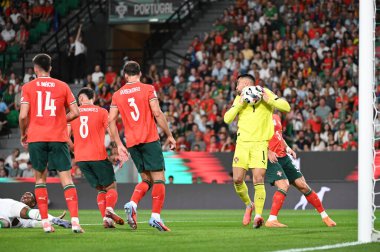 Lizbon, Portekiz. 11 Ekim 2025. Portekiz 'in Diogo Costa kalecisi, Portekiz' de oynanan FIFA Dünya Kupası 2026 elemelerinde topu İrlanda 'ya karşı koruyor.. 