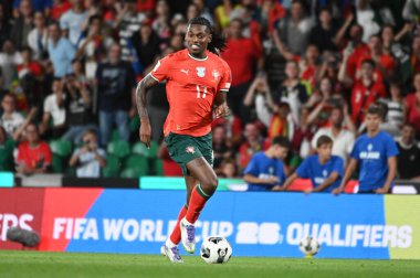 Lizbon, Portekiz. 11 Ekim 2025. Portekiz 'den Rafael Leo, Lizbon' daki Estadio Jose Alvalade 'de oynanan FIFA Dünya Kupası 2026 elemeleri için İrlanda' ya karşı mücadele ediyor.. 