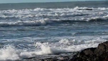 Okyanus dalgaları, Portekiz 'de kıyı kayalarını köpüklü su ve ıslak taş dokusuyla yıkıyor. Hareket halindeki su ve doğal kıyı şeridi ile kıyı şeridinin yakın görüntüsü