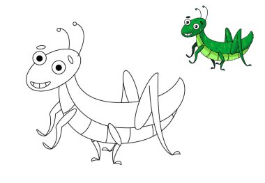 Böcek örümceği, yusufçuk, arı, çekirge, kelebek, karınca boyama kitabı.