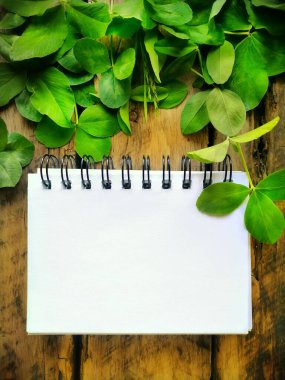 Yonca ahşap arka planda not defteriyle bırakır 