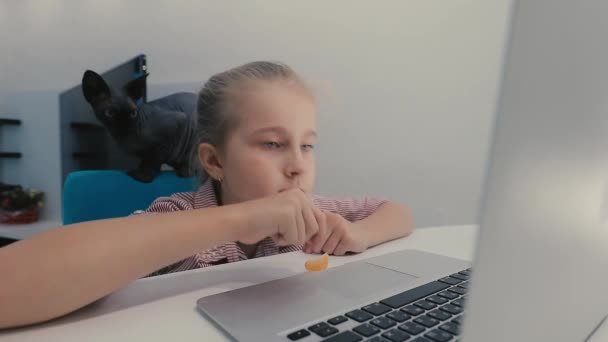 Petite fille et ordinateur portable — Video