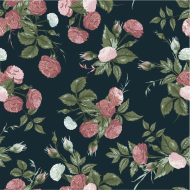 Pembe ve beyaz gül çiçek