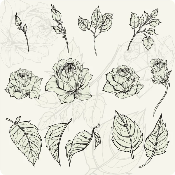 Bosquejo rosa conjunto de flores — Vector de stock