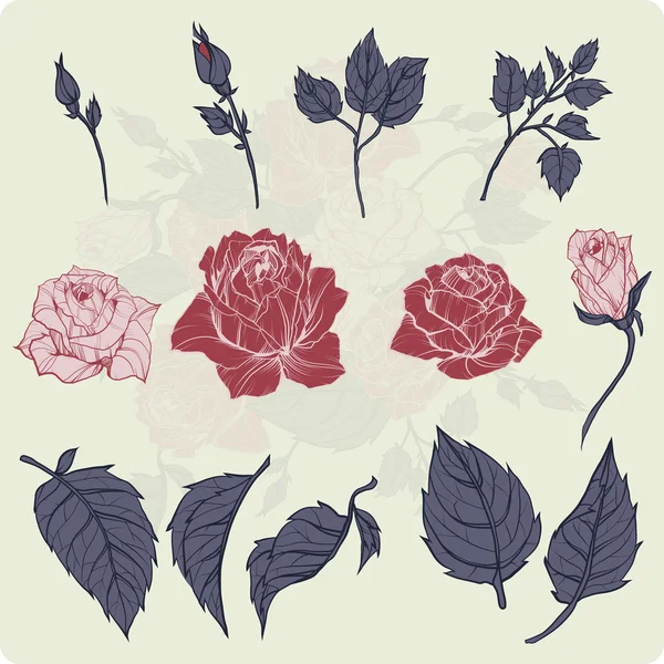 Rosen und Blätter umreißen — Stockvektor