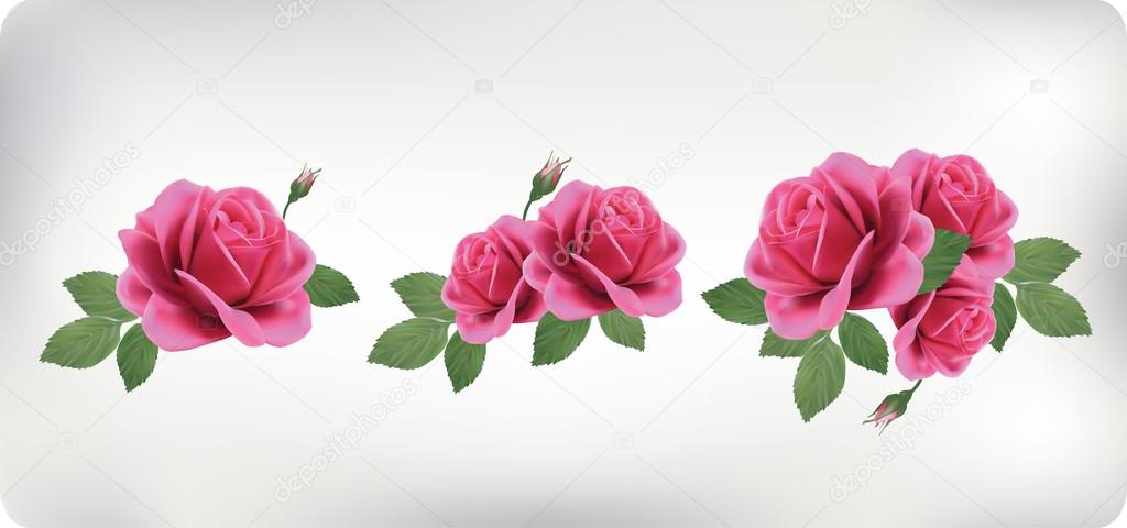 Floral roses elements