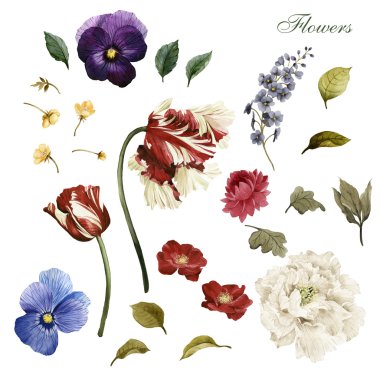 Çiçekler ve yapraklar tebrik kartı