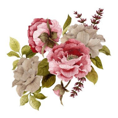 Suluboya gül, peonies ve lavanta