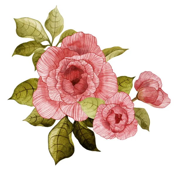 Aquarell Rosen Strauß — Stockfoto