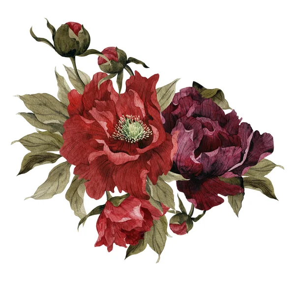 Bouquet aquarela de peônias , — Fotografia de Stock