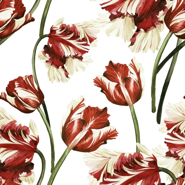 Watercolor tulips floral pattern — Stock Photo, Image