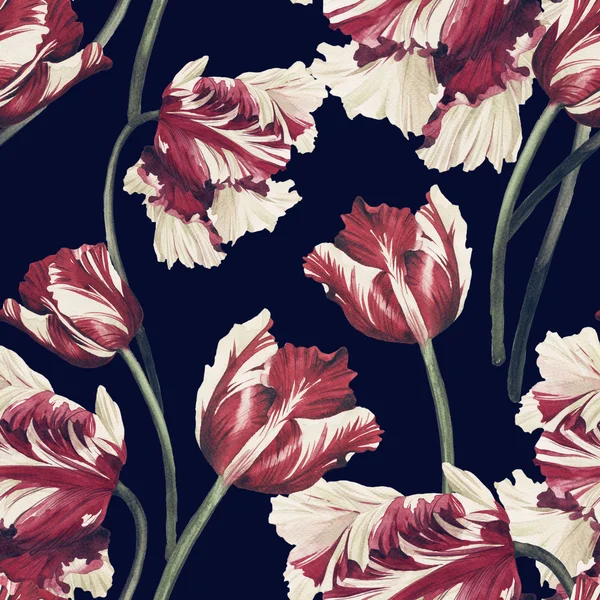 Watercolor tulips floral pattern — Stock Photo, Image