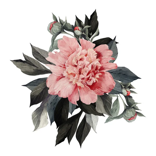 Acquerello Bouquet di peonie — Foto Stock