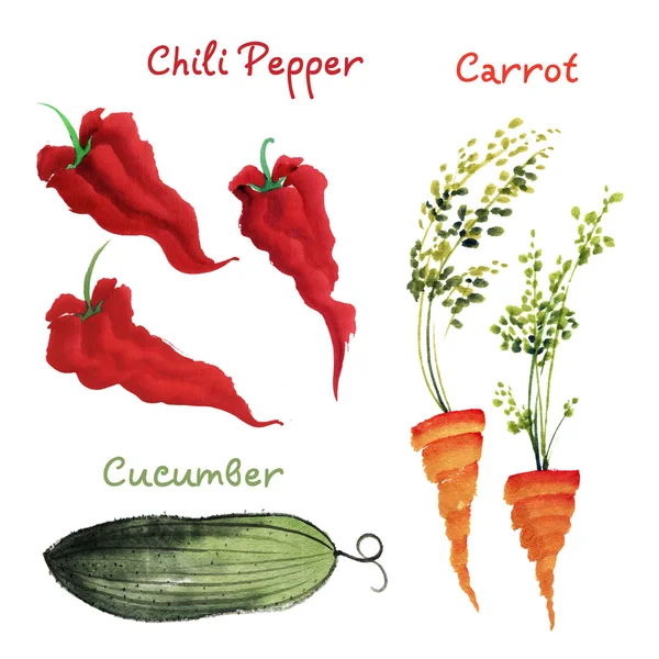 Chili pepper, carrot and cucumber — Stock Photo, Image