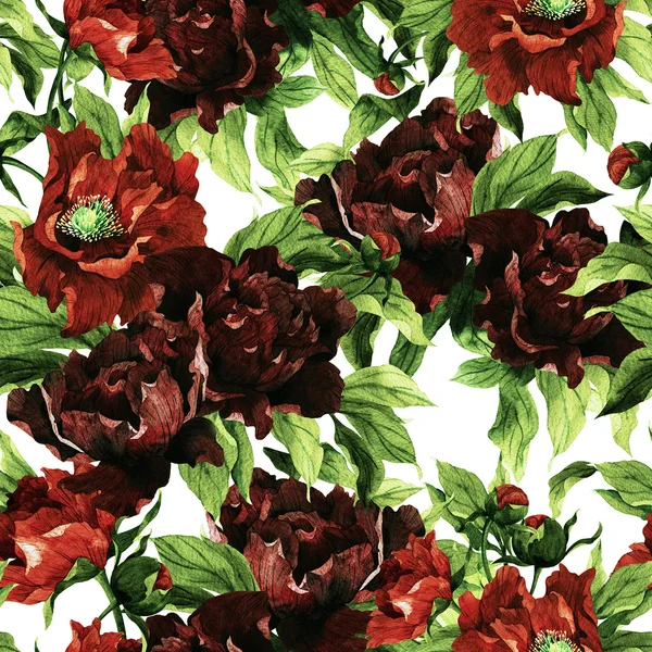 Akvarell minta pünkösdi rózsa — Stock Fotó