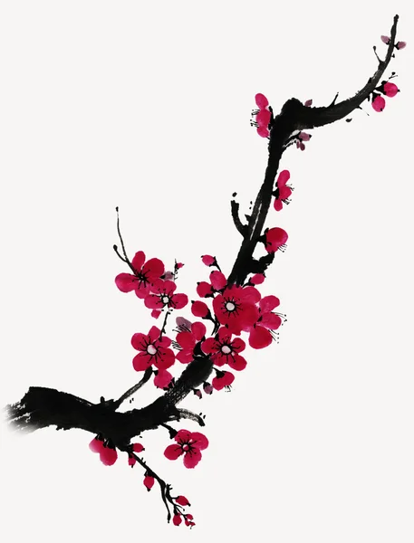 Открытки с цветущей сакурой — стоковое фото