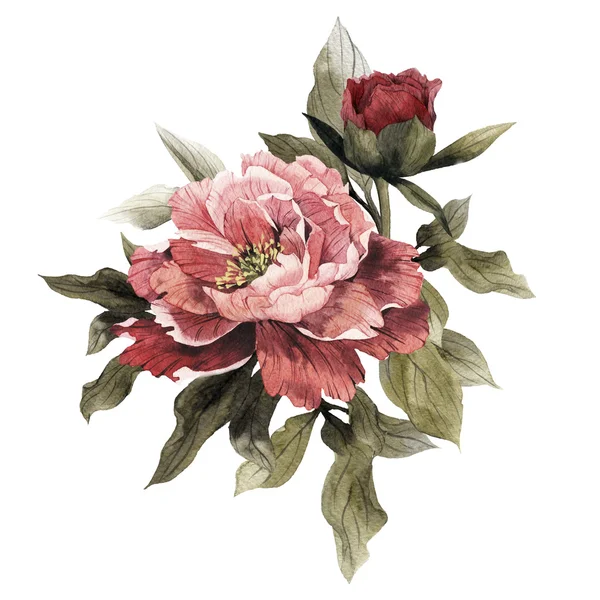 Watercolor Bouquet of peonies, — Stock Photo, Image